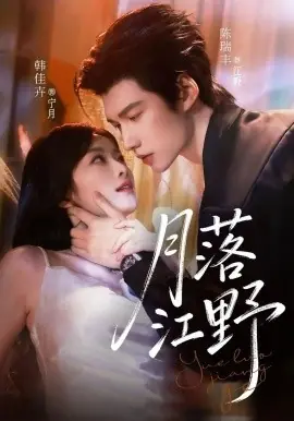 月落江野海报