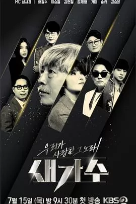 我们爱上的那首歌,新歌手海报