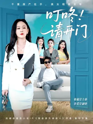 叮咚请开门海报