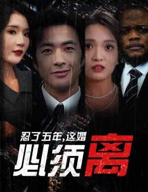 忍了五年,这婚必须离海报