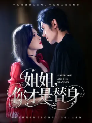 姐姐,你才是替身海报