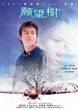 愿望树(粤语)海报