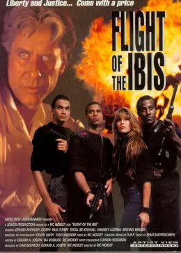 无敌雄鹰(国语)海报