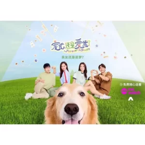 宠他,还是爱我?海报