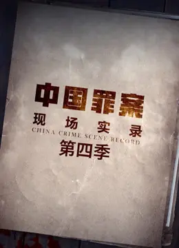 罪案现场实录第四季海报