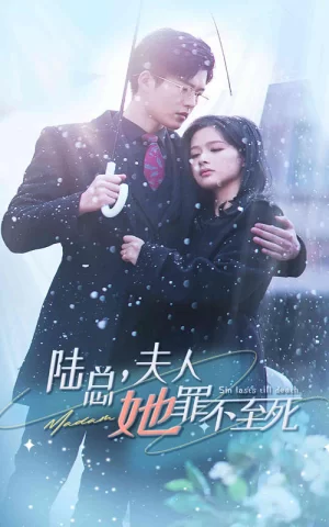 陆总夫人她罪不至死海报