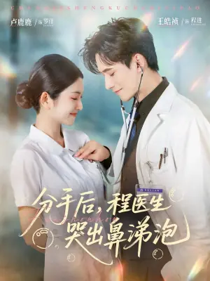 分手后,程医生哭出鼻涕泡海报
