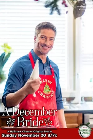 十二月新娘海报