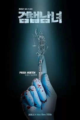 检法男女第一季海报