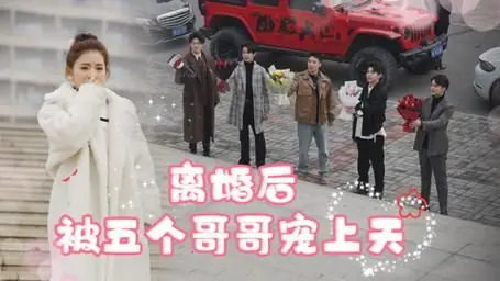 离婚后被五个哥哥宠上天海报
