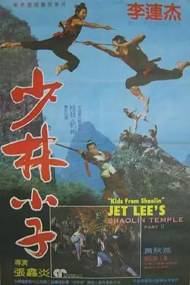 少林小子(国语)海报