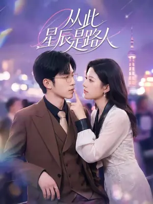 从此星辰是路人海报