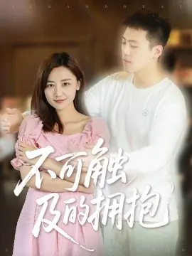 不可触及的拥抱海报