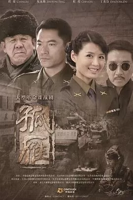 孤雁[电影解说]海报