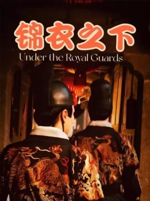 锦衣之下海报