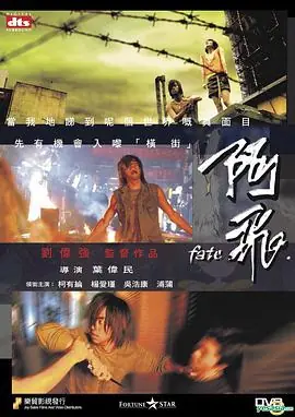 阿飞(粤语)海报