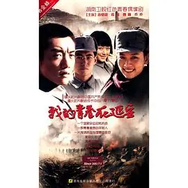 我的青春在延安海报