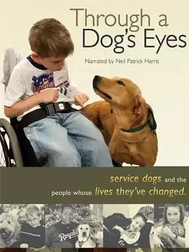 协助犬的故事海报