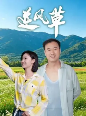 逆风草海报