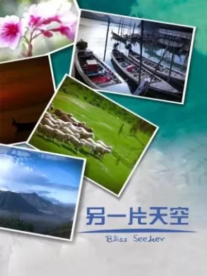 另一片天空海报