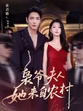 枭爷夫人她来自农村海报