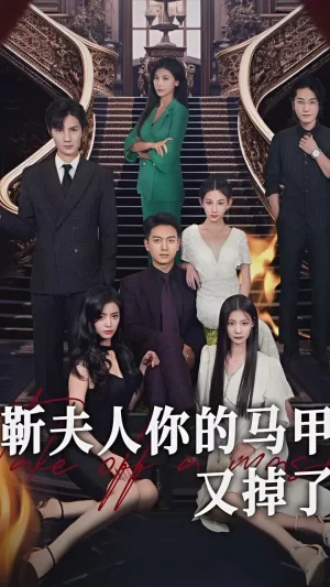 靳夫人你的马甲又掉了海报