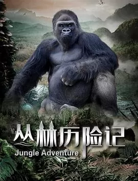 丛林历险记海报