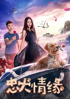 忠犬情缘海报