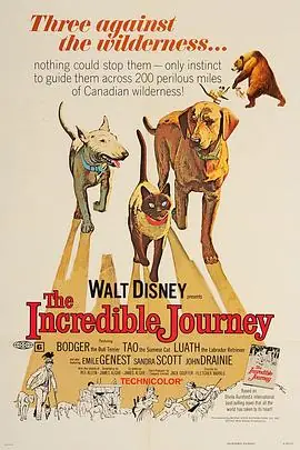 一猫二狗三分亲TheIncredibleJourney海报