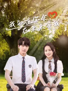 我知道你会在未来等我海报