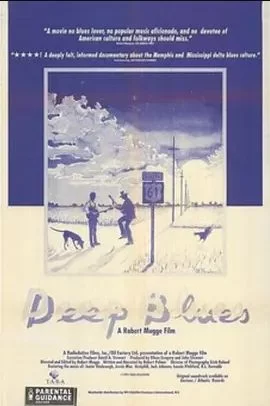 细说布鲁斯音乐海报