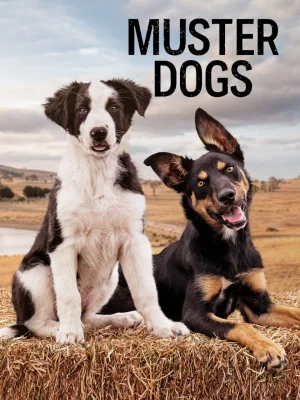 召集狗第三季海报