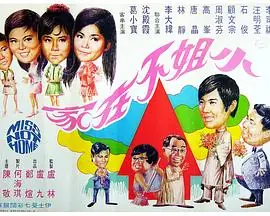 小姐不在家海报