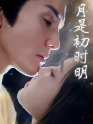 月是初时明海报