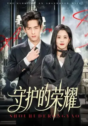 守护的荣耀海报