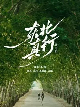 东北真行海报