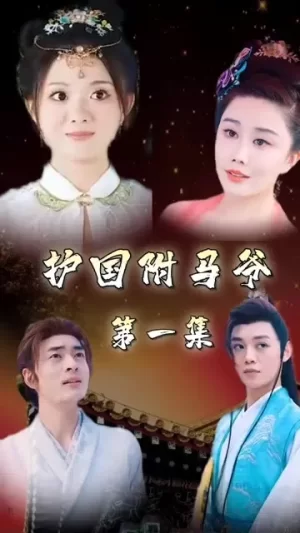 护国驸马爷一国驸马护山河海报
