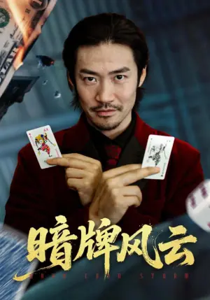 暗牌风云海报