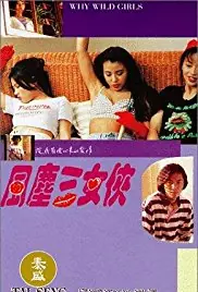 风尘三女侠海报