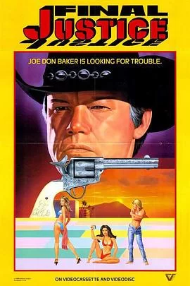 最后的正义海报