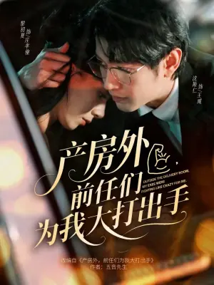 产房外,前任们为我大打出手海报