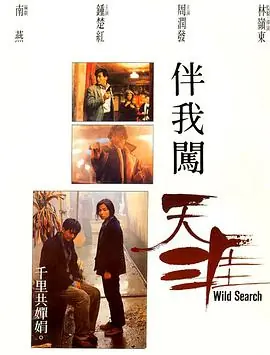 伴我闯天涯海报
