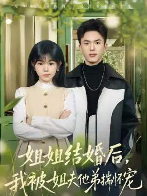 姐姐结婚后,我被姐夫他弟揣怀宠海报