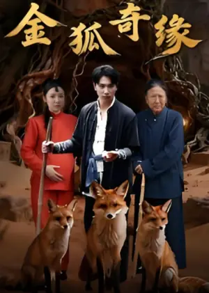 金狐奇缘海报