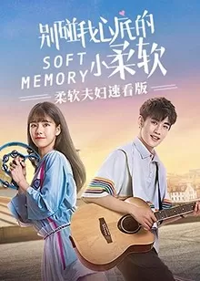 柔软夫妇速看版海报