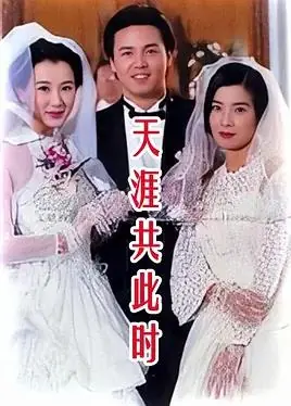 天涯共此时海报