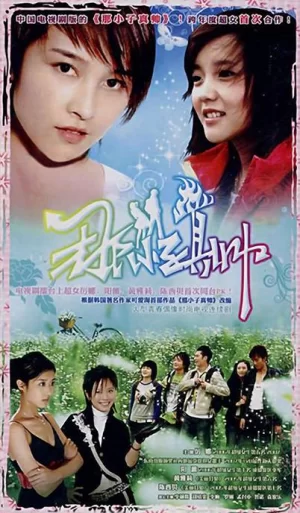 那小子真帅海报