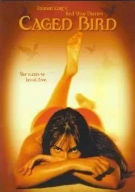 红鞋日记之性慾神殿海报