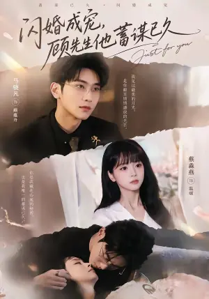 闪婚成宠,顾先生他蓄谋已久海报