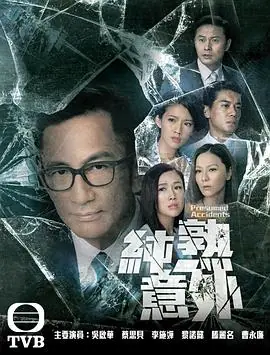 纯熟意外(粤语)海报